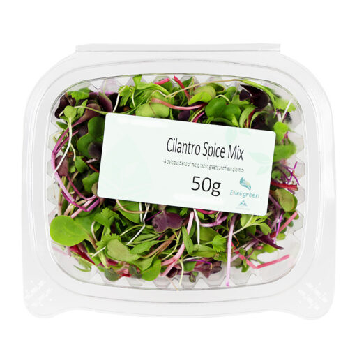 Cilantro Spice Mix